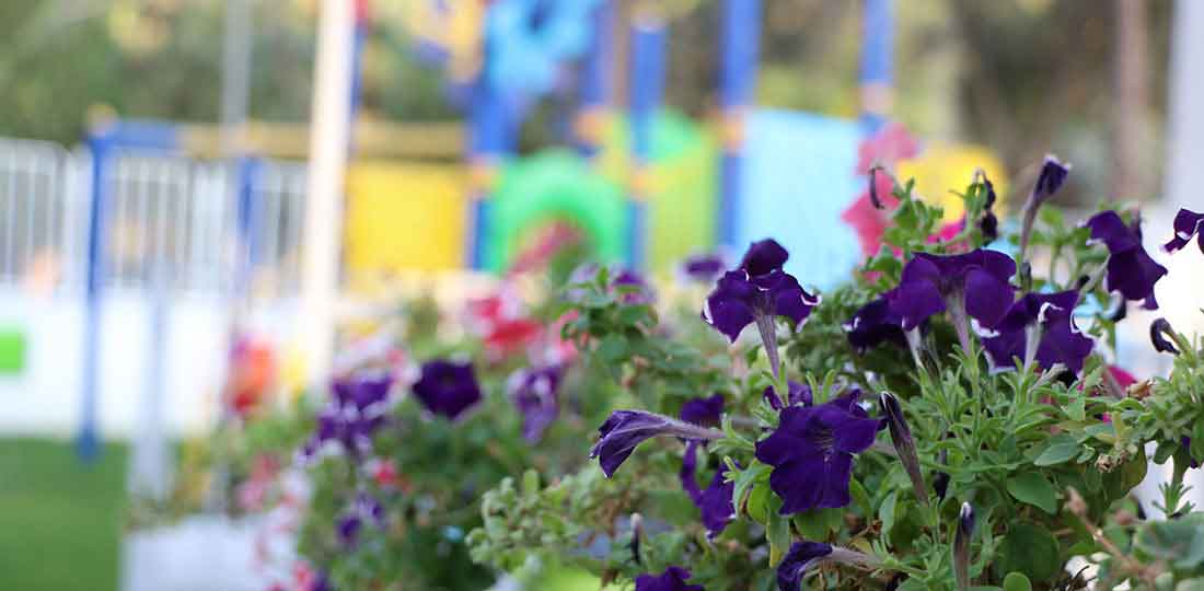 تصویر اسلایدشو
