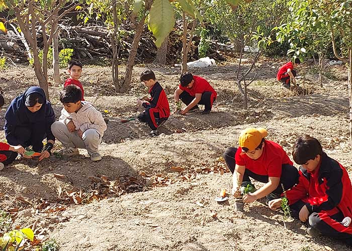 کشاورزی و باغبانی